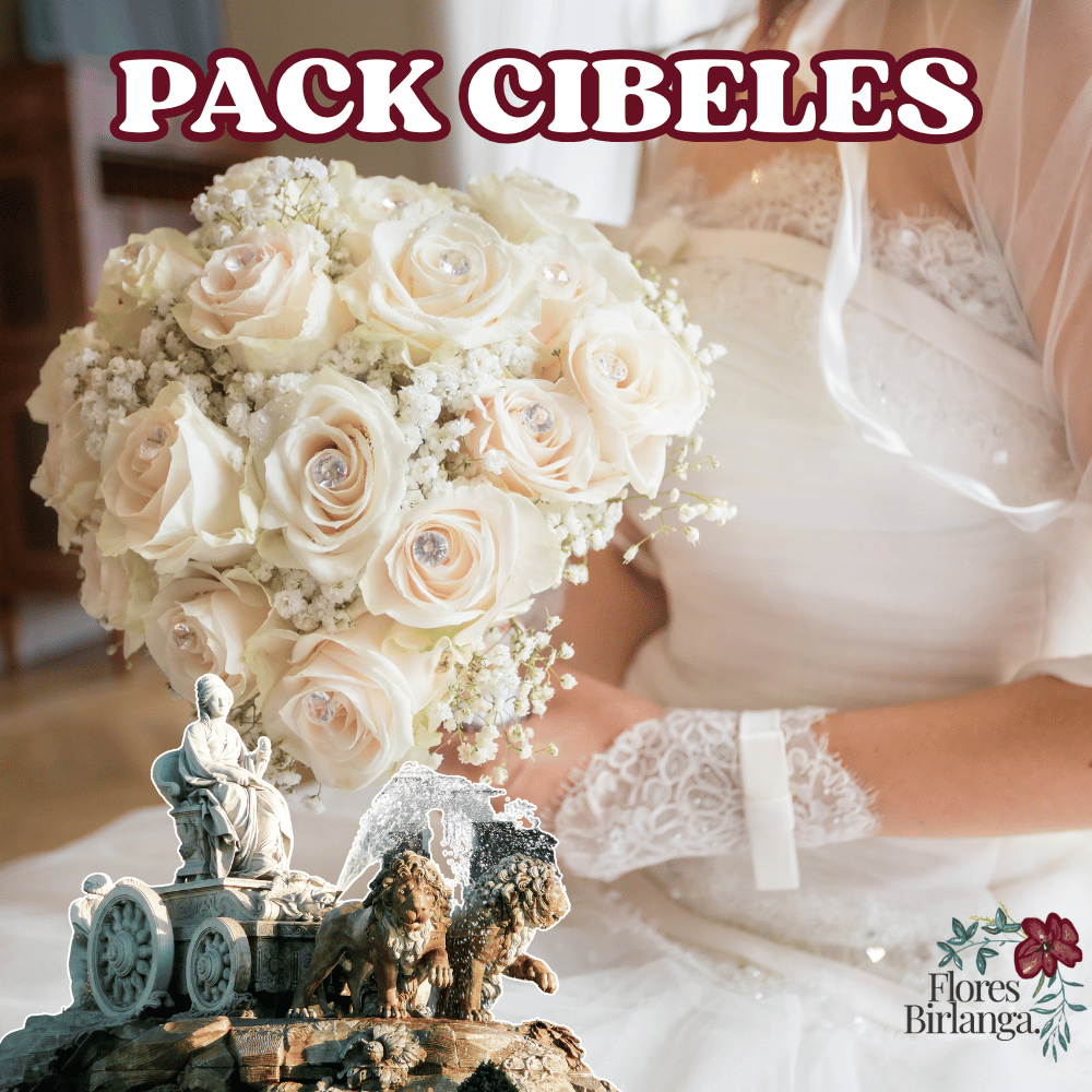 Pack Cibeles