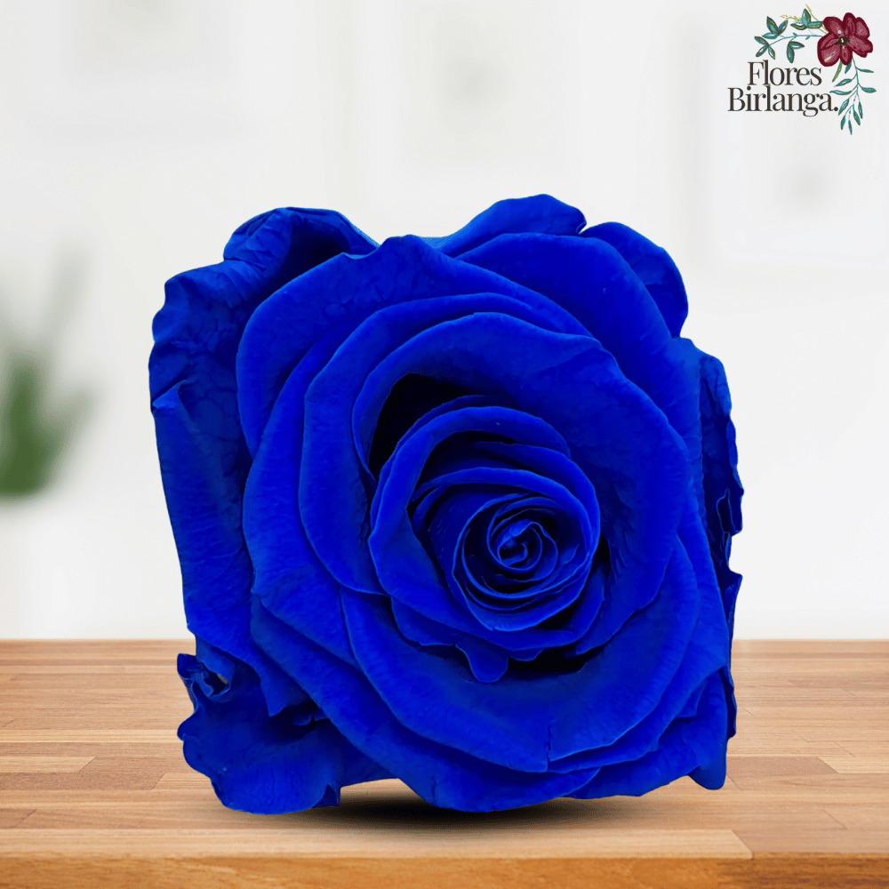 Rosa Eterna Azul Preservada - Regalo Flores Birlanga - Imagen 2