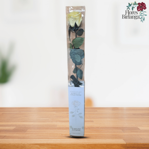 Compra la Rosa Eterna Blanca Preservada en estuche de Flores Birlanga. Símbolo de pureza y amor eterno. Un regalo que dura años. ¡Envío rápido!